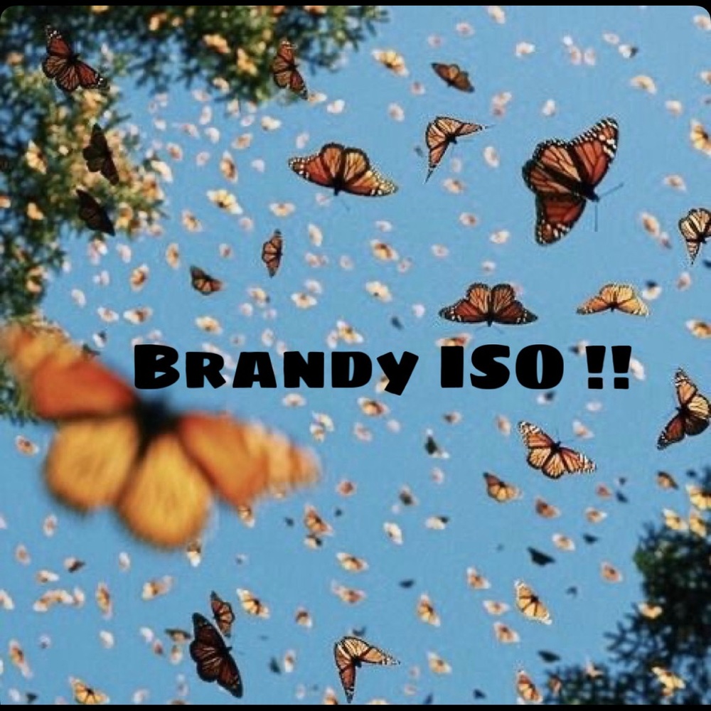 Brandy ISO (in search of!!)😚 please don’t buy!